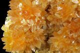 Amber-Yellow Calcite Crystal Cluster - Highly Fluorescent! #177297-2